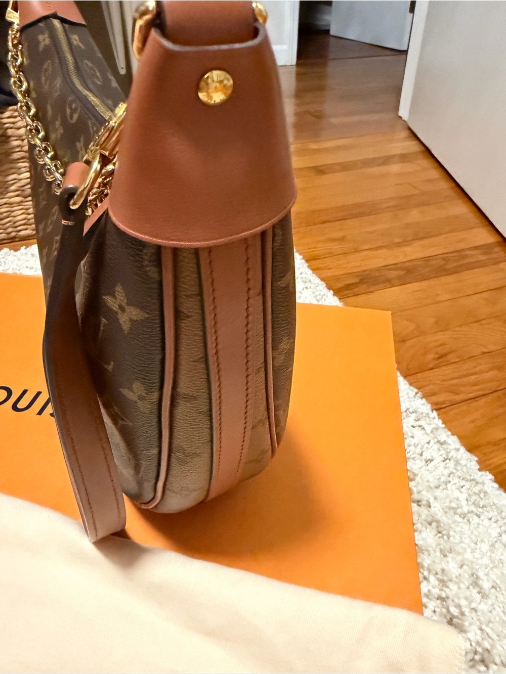 Louis Vuitton Loop Hobo - Picture 2 of 6